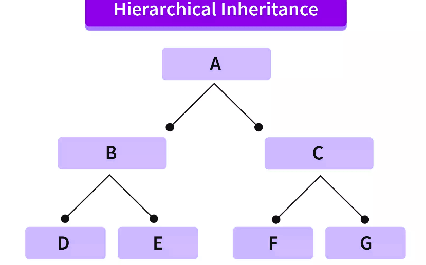 C++ Inheritance