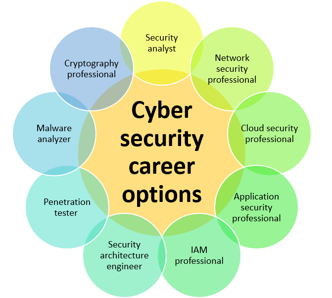 Cyber security career options