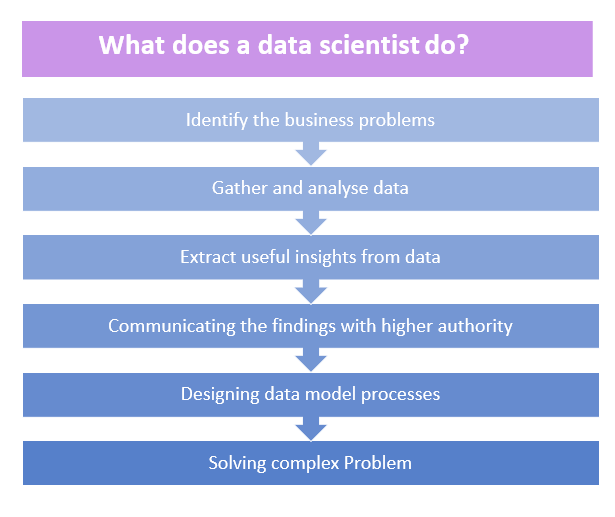 What does a data scientists do?